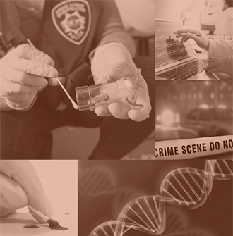Catalog2 - KiddieCove Forensic team montage: hands in gloves handling a sample with lab tools and a DNA strand image in the background.